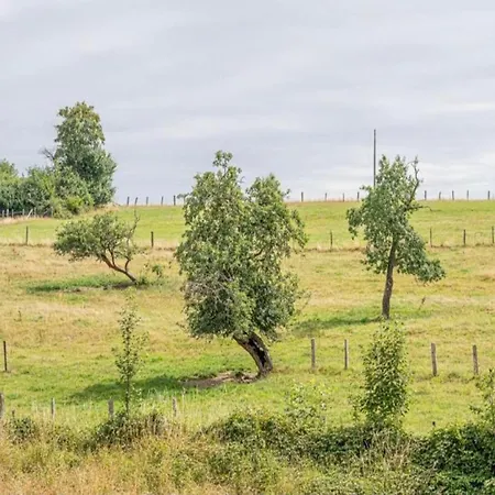 Quaint In Bievre In The Forest * Bellefontaine