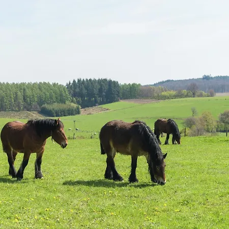 بيت للعطل Quaint In Bievre In The Forest