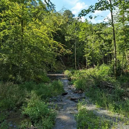 펜션 Quaint In Bievre In The Forest